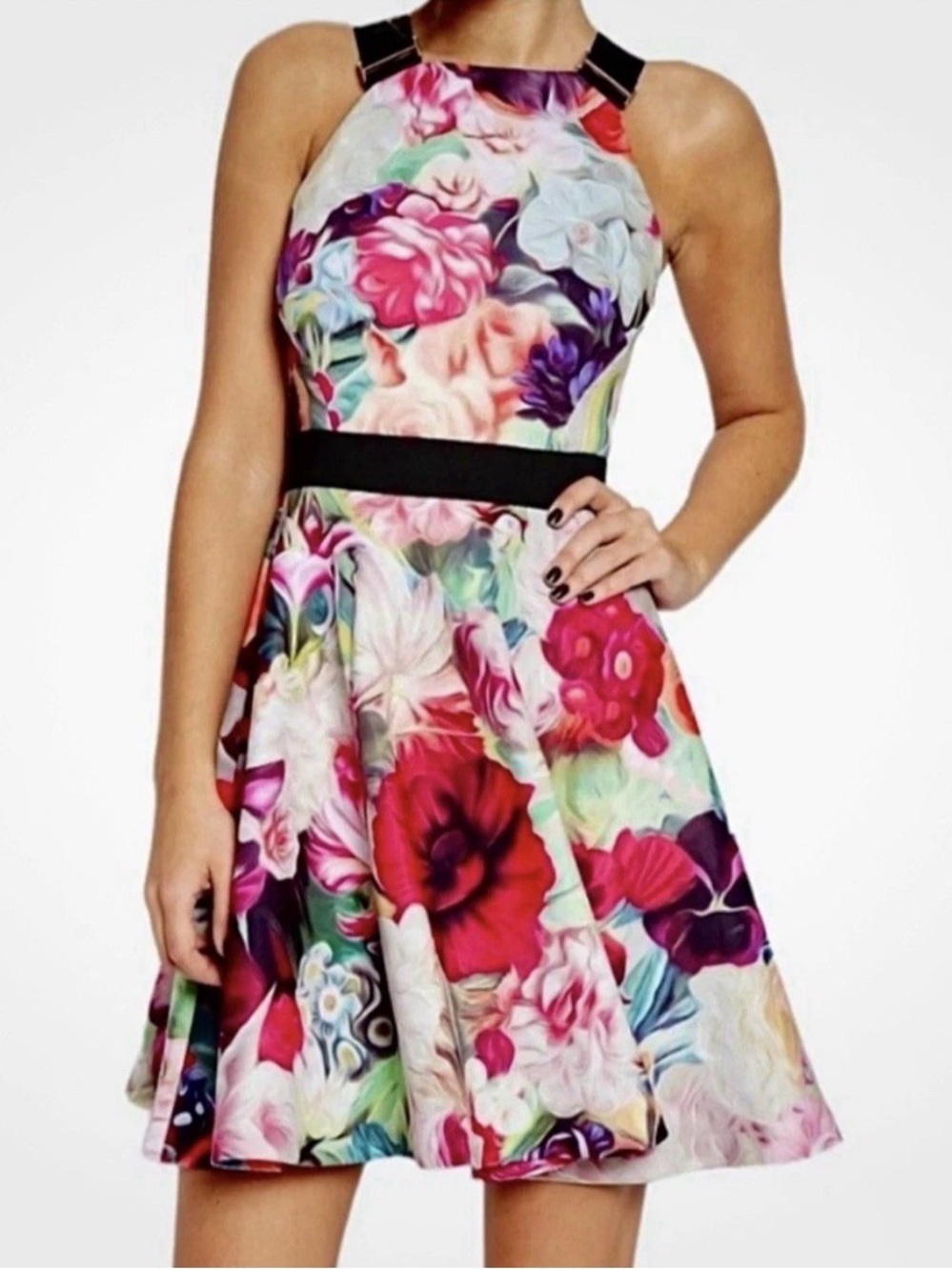 Ted Baker London Floral Fit & Flare Skater Dress Size 2 Pink Black High Neck